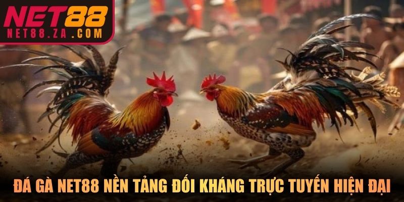 Đá gà Net88 nền tảng đối kháng trực tuyến hiện đại