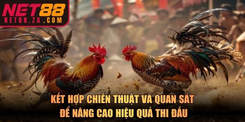 Kết hợp chiến thuật và quan sát để nâng cao hiệu quả thi đấu